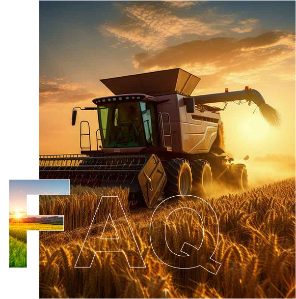FAQ Image